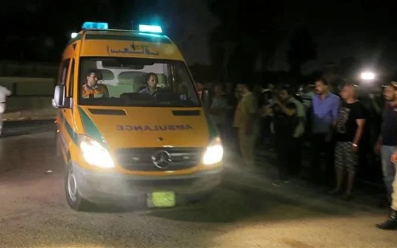 ضبط شقيقين في زفتي قتلا والدهم بمباحث المركز